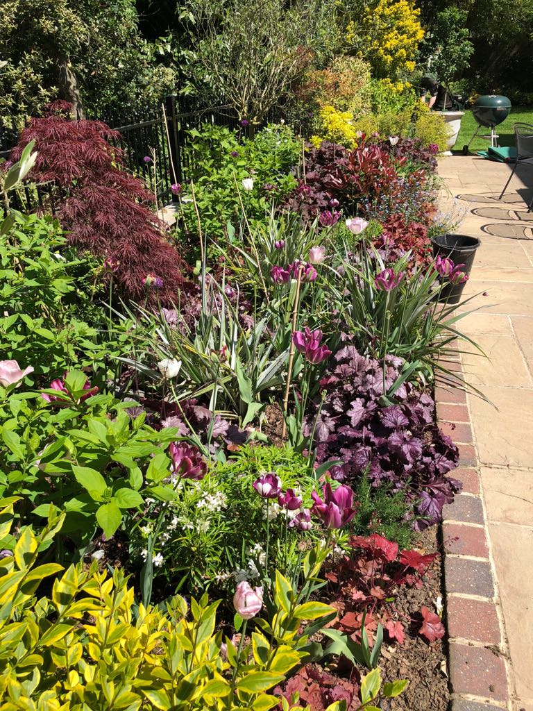 Gallery Flowers Galore and more...