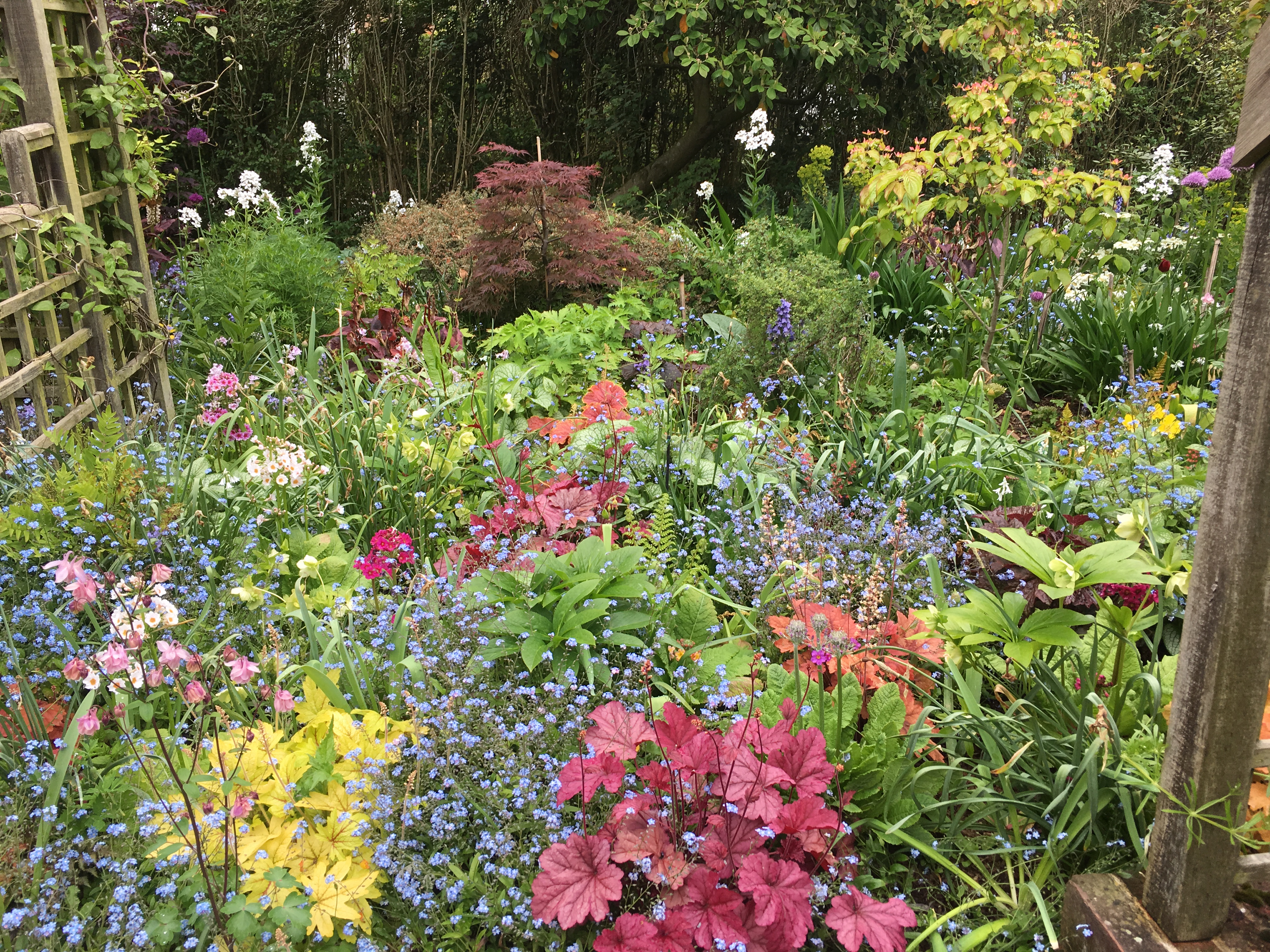 Gallery Flowers Galore and more...