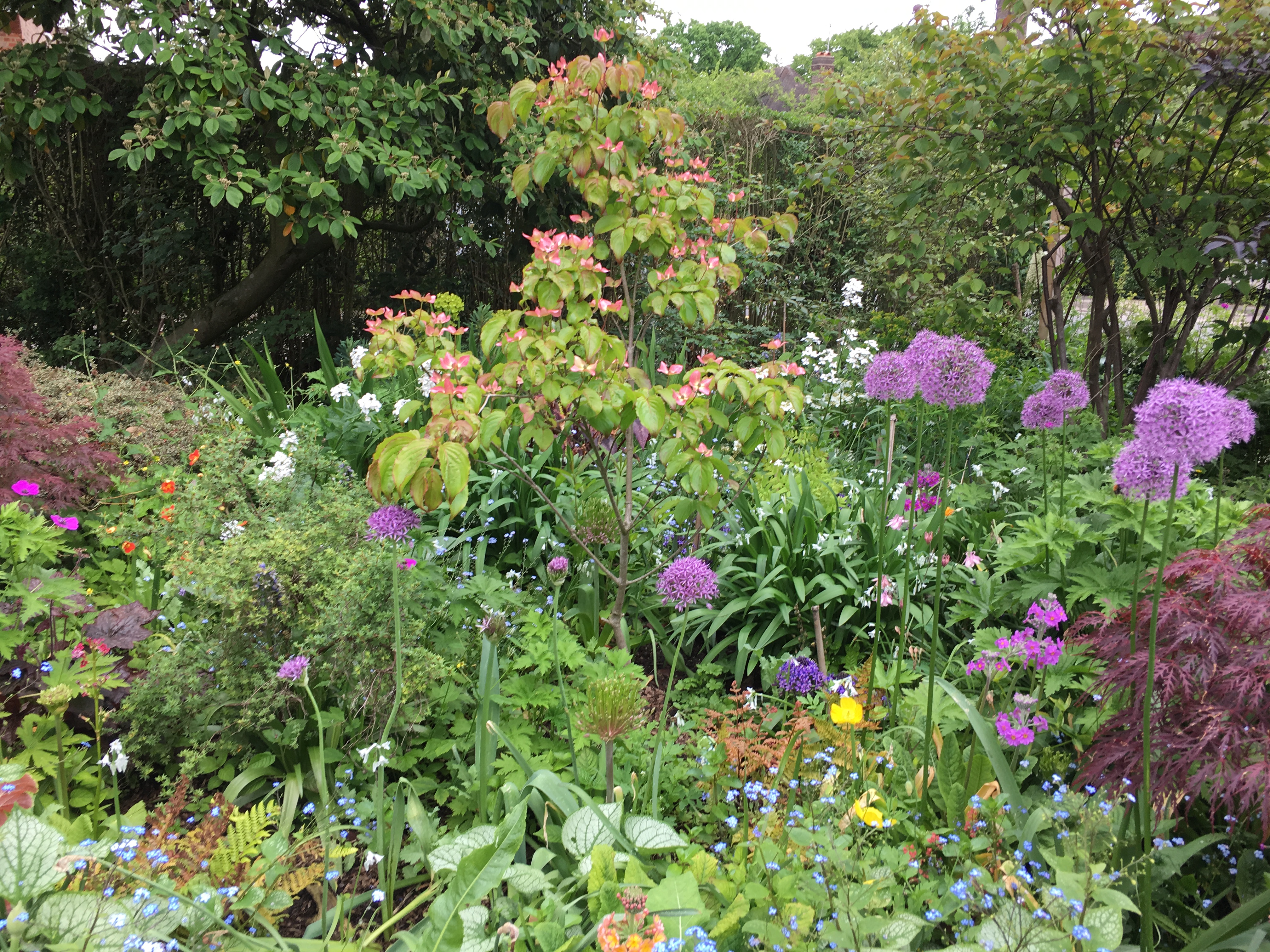 Gallery Flowers Galore and more...