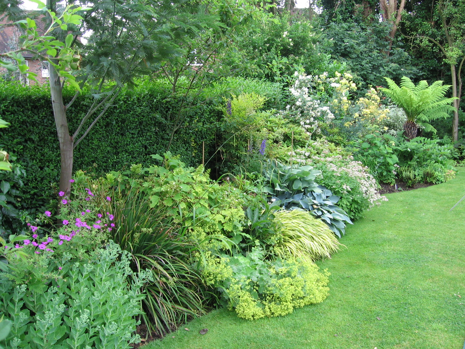 Gallery – Flowers Galore and more...