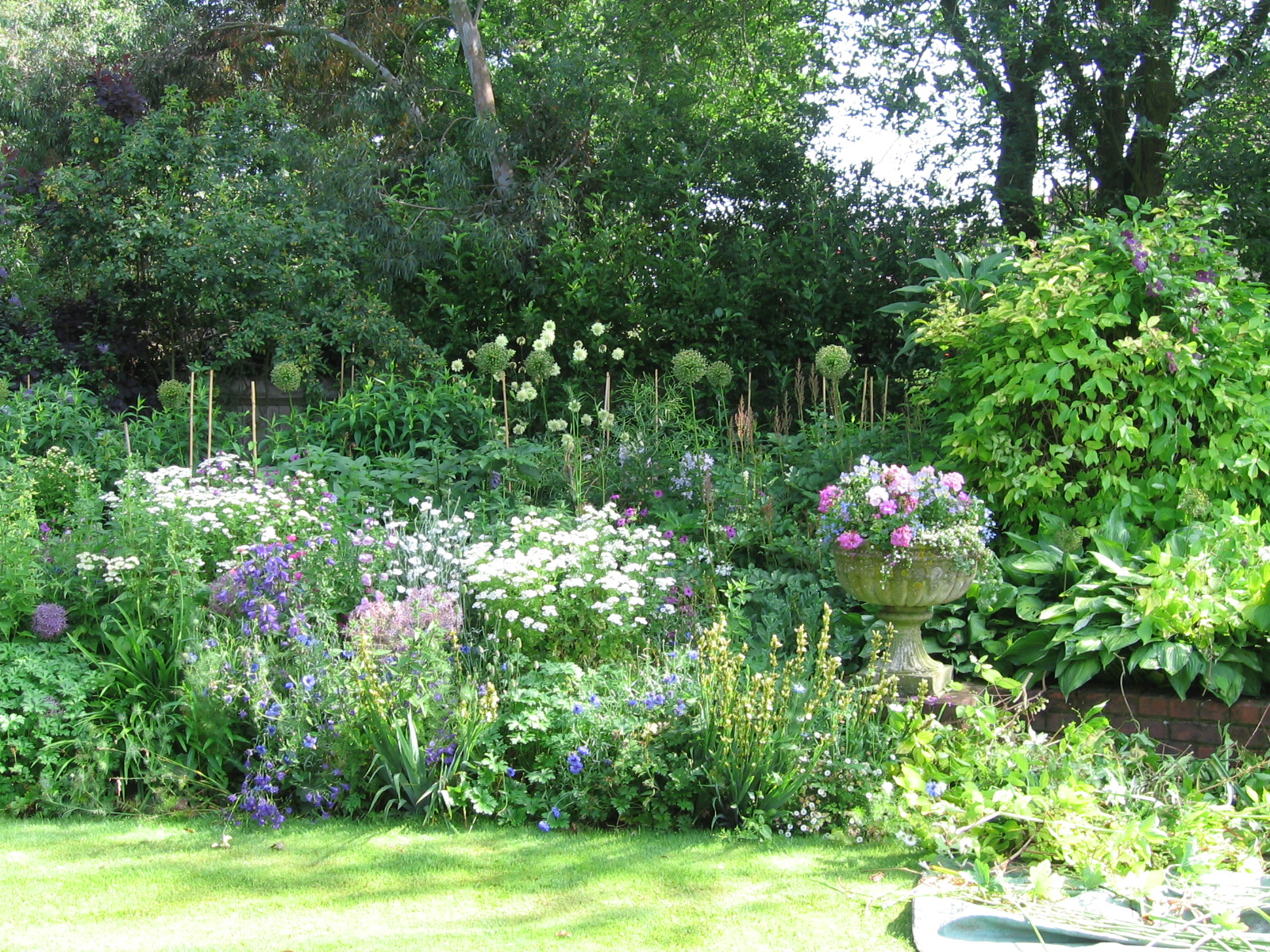 Gallery Flowers Galore and more...