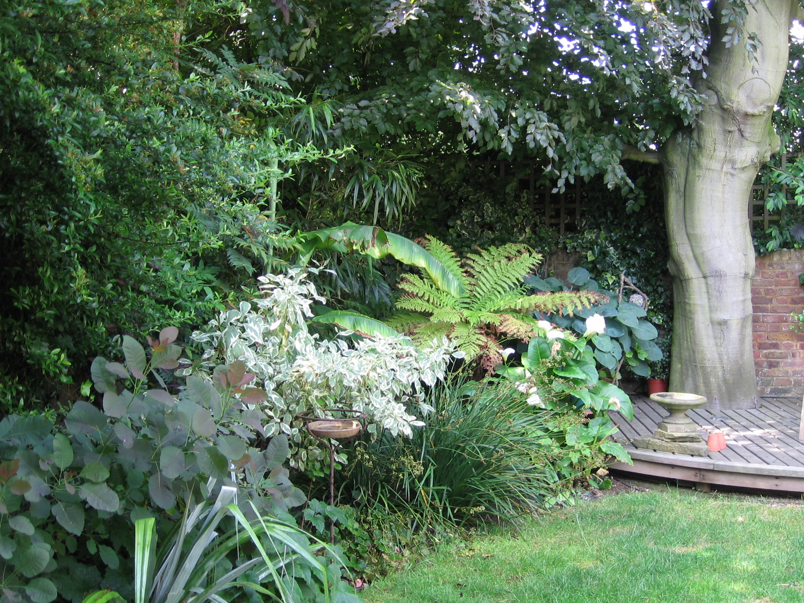 Gallery Flowers Galore and more...