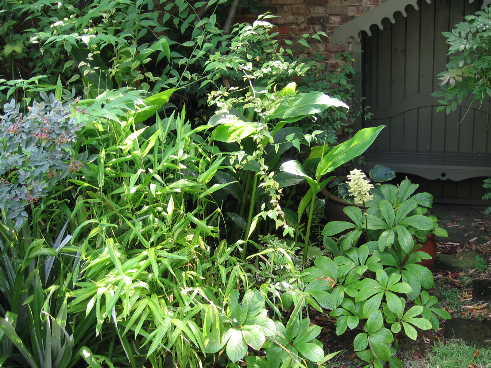 Gallery Flowers Galore and more...